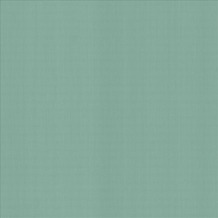 Perception Dew by Kasmir Fabric 5174 100% Cotton
 INDIA 21,000 Wyzenbeek Double Rubs Horizontal: N/A and Vertical: N/A 54 - Fabric Carolina -