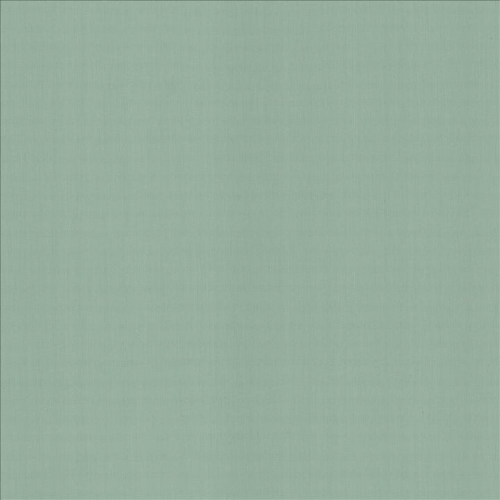 Perception Dew by Kasmir Fabric 5174 100% Cotton
 INDIA </p><p>Repeat: Horizontal: N/A and Vertical: N/A 54 - Fabric Carolina -