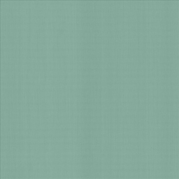 Perception Dew by Kasmir Fabric 5174 100% Cotton
 INDIA 21,000 Wyzenbeek Double Rubs </p><p>Repeat: Horizontal: N/A and Vertical: N/A 54 - Fabric Carolina -