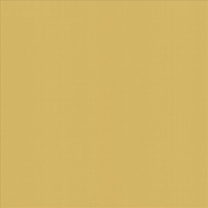 Perception Dijon by Kasmir Fabric 5174 100% Cotton
 INDIA 21,000 Wyzenbeek Double Rubs Horizontal: N/A and Vertical: N/A 54 - Fabric Carolina -