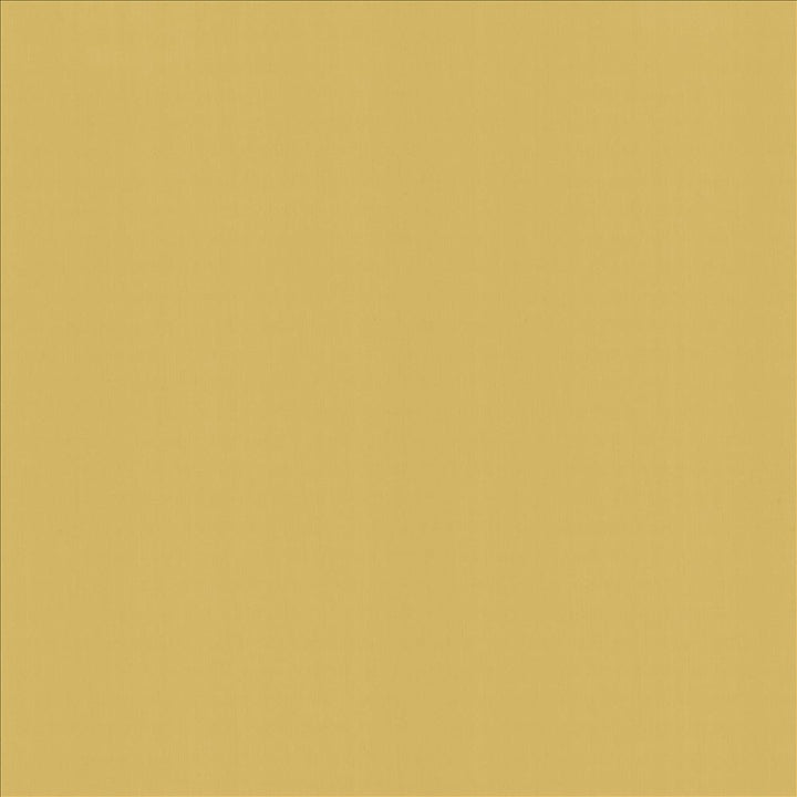 Perception Dijon by Kasmir Fabric 5174 100% Cotton
 INDIA 21,000 Wyzenbeek Double Rubs </p><p>Repeat: Horizontal: N/A and Vertical: N/A 54 - Fabric Carolina -