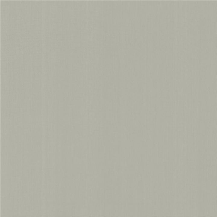 Perception Dove by Kasmir Fabric 5174 100% Cotton
 INDIA </p><p>Repeat: Horizontal: N/A and Vertical: N/A 54 - Fabric Carolina -