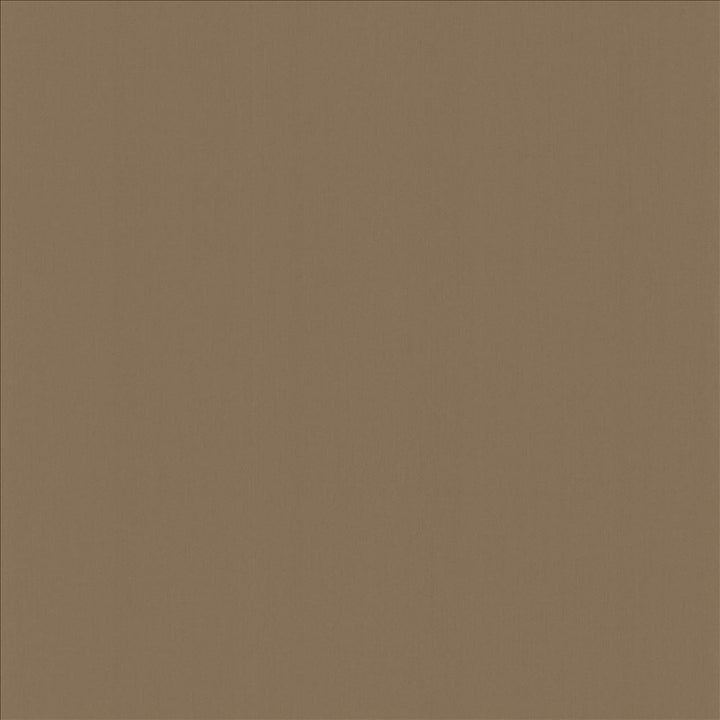 Perception Driftwood by Kasmir Fabric 5174 100% Cotton
 INDIA 21,000 Wyzenbeek Double Rubs </p><p>Repeat: Horizontal: N/A and Vertical: N/A 54 - Fabric Carolina -