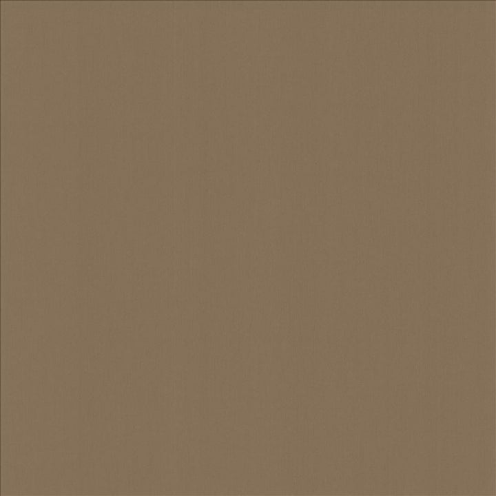 Perception Driftwood by Kasmir Fabric 5174 100% Cotton
 INDIA 21,000 Wyzenbeek Double Rubs Horizontal: N/A and Vertical: N/A 54 - Fabric Carolina -