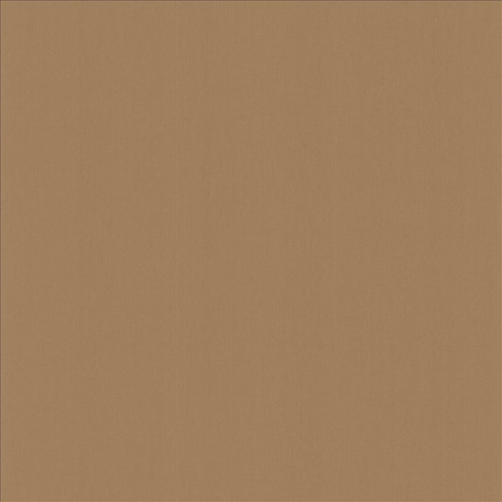 Perception Driftwood by Kasmir Fabric 5174 100% Cotton
 INDIA </p><p>Repeat: Horizontal: N/A and Vertical: N/A 54 - Fabric Carolina -