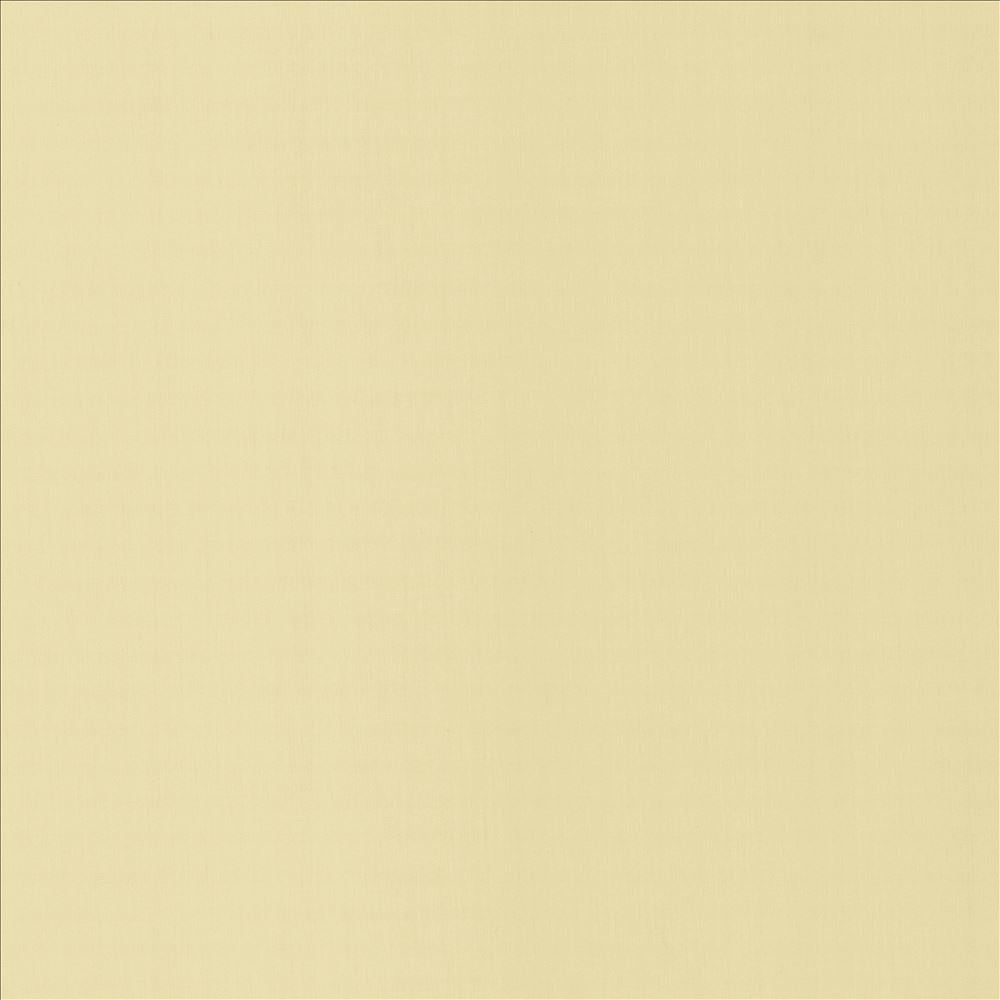 Perception Ecru by Kasmir Fabric 5174 100% Cotton
 INDIA 21,000 Wyzenbeek Double Rubs </p><p>Repeat: Horizontal: N/A and Vertical: N/A 54 - Fabric Carolina -