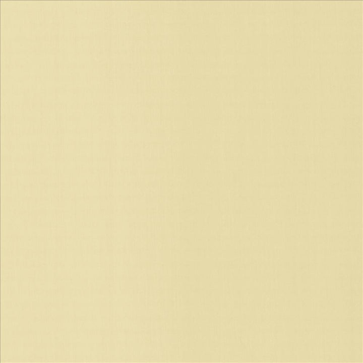Perception Ecru by Kasmir Fabric 5174 100% Cotton
 INDIA 21,000 Wyzenbeek Double Rubs </p><p>Repeat: Horizontal: N/A and Vertical: N/A 54 - Fabric Carolina -