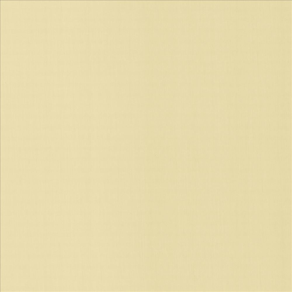 Perception Ecru by Kasmir Fabric 5174 100% Cotton
 INDIA 21,000 Wyzenbeek Double Rubs Horizontal: N/A and Vertical: N/A 54 - Fabric Carolina -