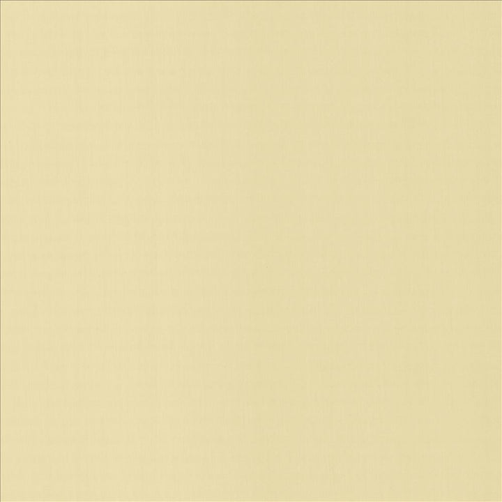 Perception Ecru by Kasmir Fabric 5174 100% Cotton
 INDIA 21,000 Wyzenbeek Double Rubs Horizontal: N/A and Vertical: N/A 54 - Fabric Carolina -
