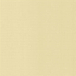 Perception Ecru by Kasmir Fabric