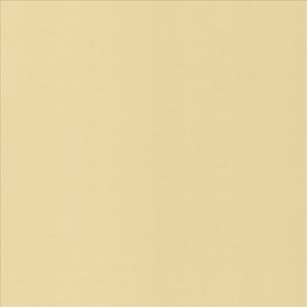 Perception Ecru by Kasmir Fabric 5174 100% Cotton
 INDIA </p><p>Repeat: Horizontal: N/A and Vertical: N/A 54 - Fabric Carolina -
