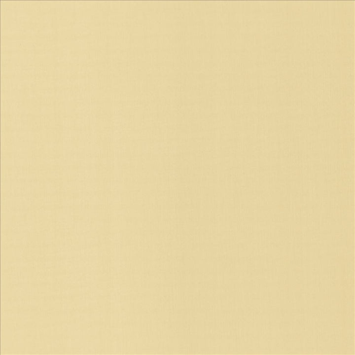 Perception Ecru by Kasmir Fabric 5174 100% Cotton
 INDIA </p><p>Repeat: Horizontal: N/A and Vertical: N/A 54 - Fabric Carolina -