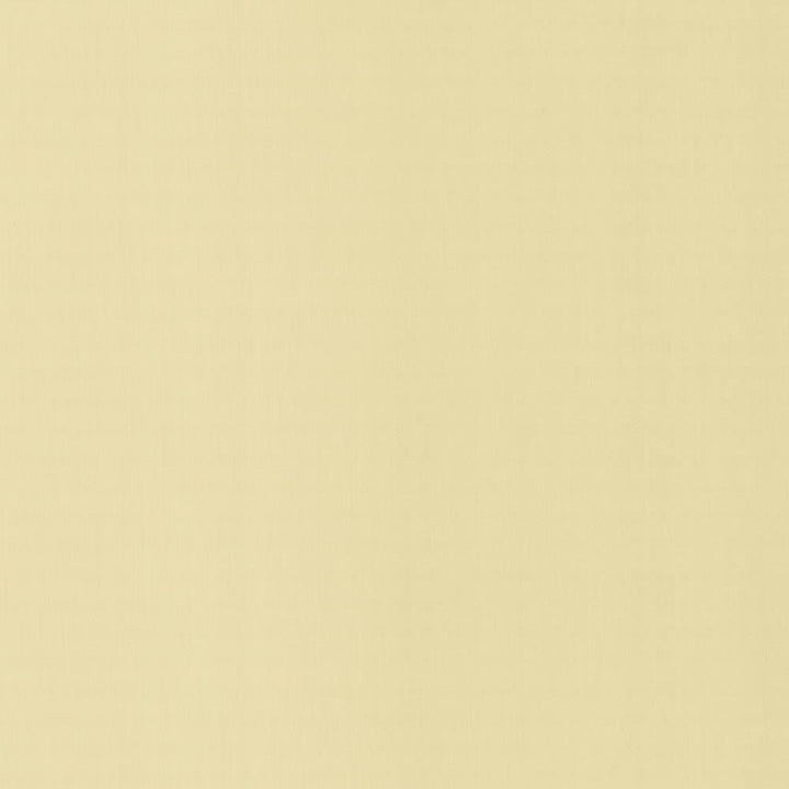 Perception Ecru by Kasmir Fabric 5174 100% Cotton
 INDIA </p><p>Repeat: Horizontal: N/A and Vertical: N/A 54 - Fabric Carolina -