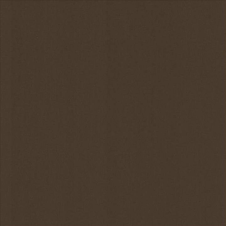 Perception Espresso by Kasmir Fabric 5174 100% Cotton
 INDIA 21,000 Wyzenbeek Double Rubs Horizontal: N/A and Vertical: N/A 54 - Fabric Carolina -