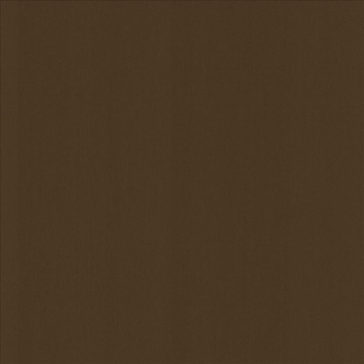Perception Espresso by Kasmir Fabric 5174 100% Cotton
 INDIA </p><p>Repeat: Horizontal: N/A and Vertical: N/A 54 - Fabric Carolina -
