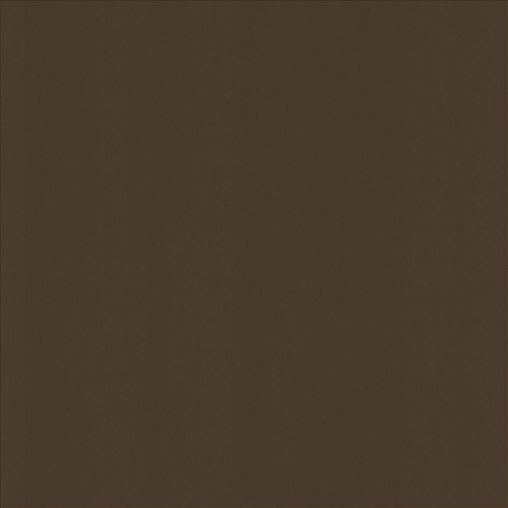Perception Espresso by Kasmir Fabric 5174 100% Cotton
 INDIA 21,000 Wyzenbeek Double Rubs </p><p>Repeat: Horizontal: N/A and Vertical: N/A 54 - Fabric Carolina -