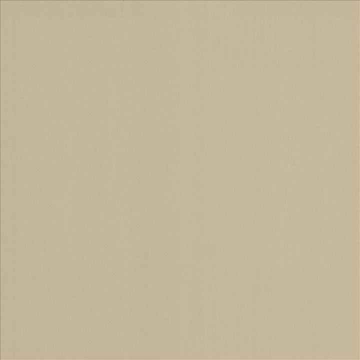 Perception Fog by Kasmir Fabric 5174 100% Cotton
 INDIA 21,000 Wyzenbeek Double Rubs </p><p>Repeat: Horizontal: N/A and Vertical: N/A 54 - Fabric Carolina -