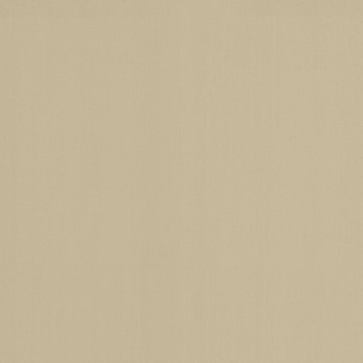 Perception Fog by Kasmir Fabric 5174 100% Cotton
 INDIA </p><p>Repeat: Horizontal: N/A and Vertical: N/A 54 - Fabric Carolina -