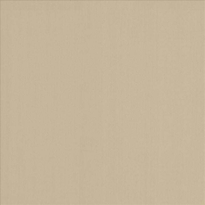 Perception Fog  by Kasmir Fabric See sample 100% Cotton
 INDIA 21,000 Wyzenbeek Double Rubs </p><p>Repeat: Horizontal: N/A and Vertical: N/A 54  - Fabric Carolina -