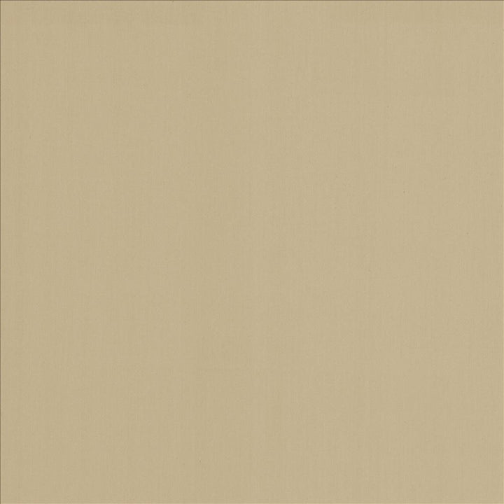Perception Fog by Kasmir Fabric 5174 100% Cotton
 INDIA </p><p>Repeat: Horizontal: N/A and Vertical: N/A 54 - Fabric Carolina -