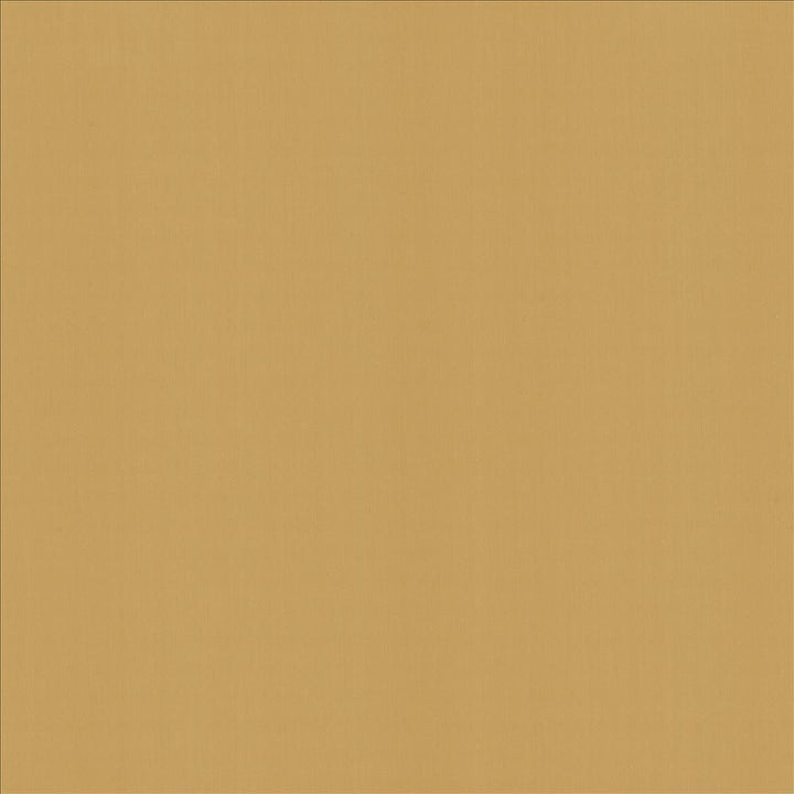 Perception Golden Rod by Kasmir Fabric 5174 100% Cotton
 INDIA 21,000 Wyzenbeek Double Rubs </p><p>Repeat: Horizontal: N/A and Vertical: N/A 54 - Fabric Carolina -