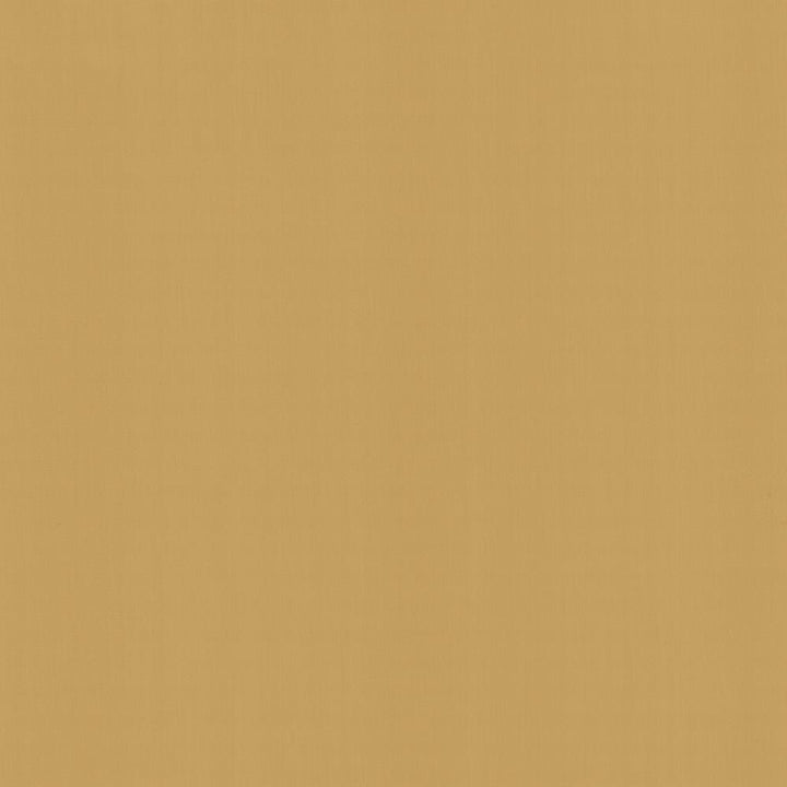 Perception Golden Rod by Kasmir Fabric 5174 100% Cotton
 INDIA </p><p>Repeat: Horizontal: N/A and Vertical: N/A 54 - Fabric Carolina -