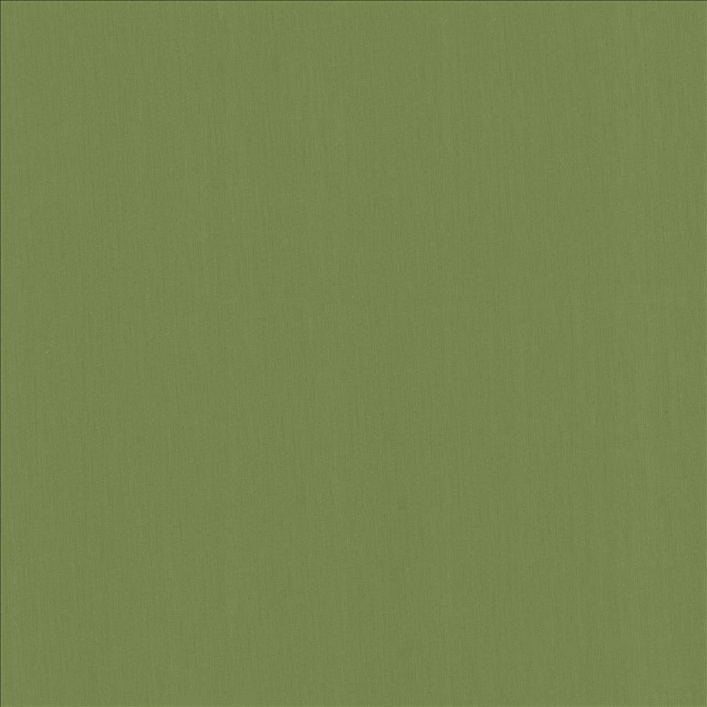 Perception Grass by Kasmir Fabric 5174 100% Cotton
 INDIA 21,000 Wyzenbeek Double Rubs Horizontal: N/A and Vertical: N/A 54 - Fabric Carolina -
