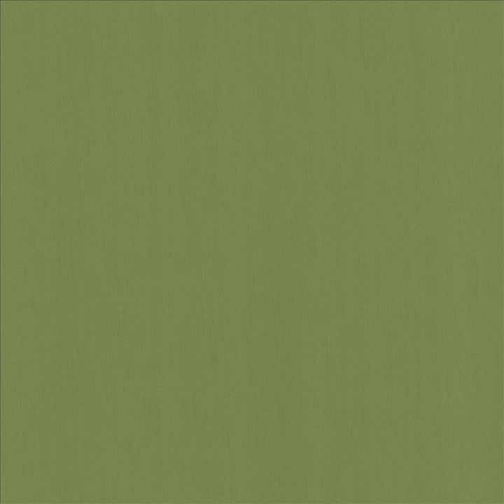 Perception Grass by Kasmir Fabric 5174 100% Cotton
 INDIA 21,000 Wyzenbeek Double Rubs Horizontal: N/A and Vertical: N/A 54 - Fabric Carolina -