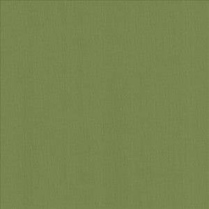 Perception Grass by Kasmir Fabric