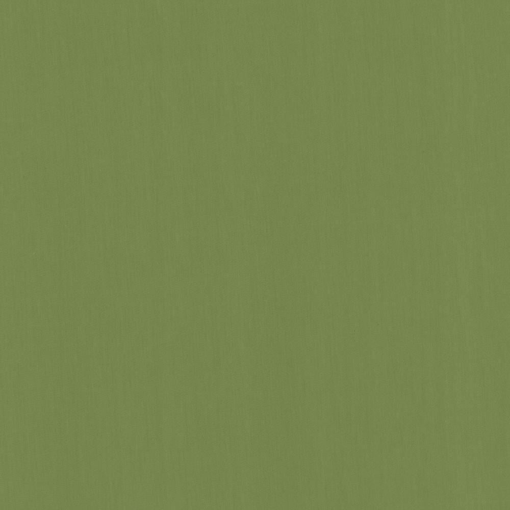 Perception Grass by Kasmir Fabric 5174 100% Cotton
 INDIA </p><p>Repeat: Horizontal: N/A and Vertical: N/A 54 - Fabric Carolina -