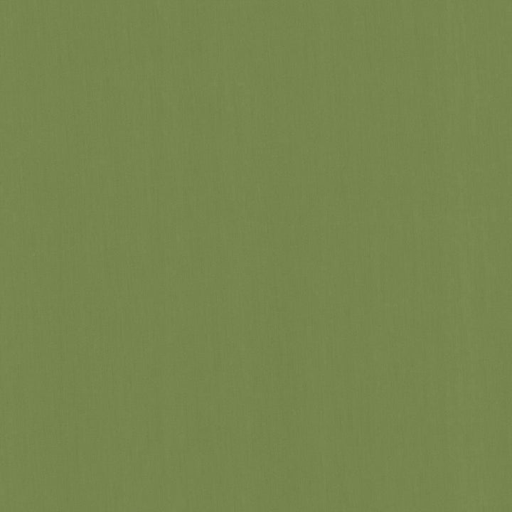 Perception Grass by Kasmir Fabric 5174 100% Cotton
 INDIA </p><p>Repeat: Horizontal: N/A and Vertical: N/A 54 - Fabric Carolina -