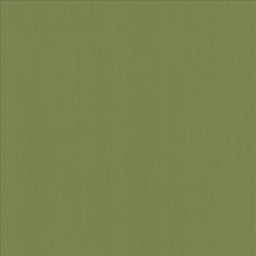 Perception Grass by Kasmir Fabric 5174 100% Cotton
 INDIA 21,000 Wyzenbeek Double Rubs </p><p>Repeat: Horizontal: N/A and Vertical: N/A 54 - Fabric Carolina -