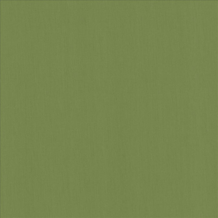 Perception Grass by Kasmir Fabric 5174 100% Cotton
 INDIA 21,000 Wyzenbeek Double Rubs </p><p>Repeat: Horizontal: N/A and Vertical: N/A 54 - Fabric Carolina -