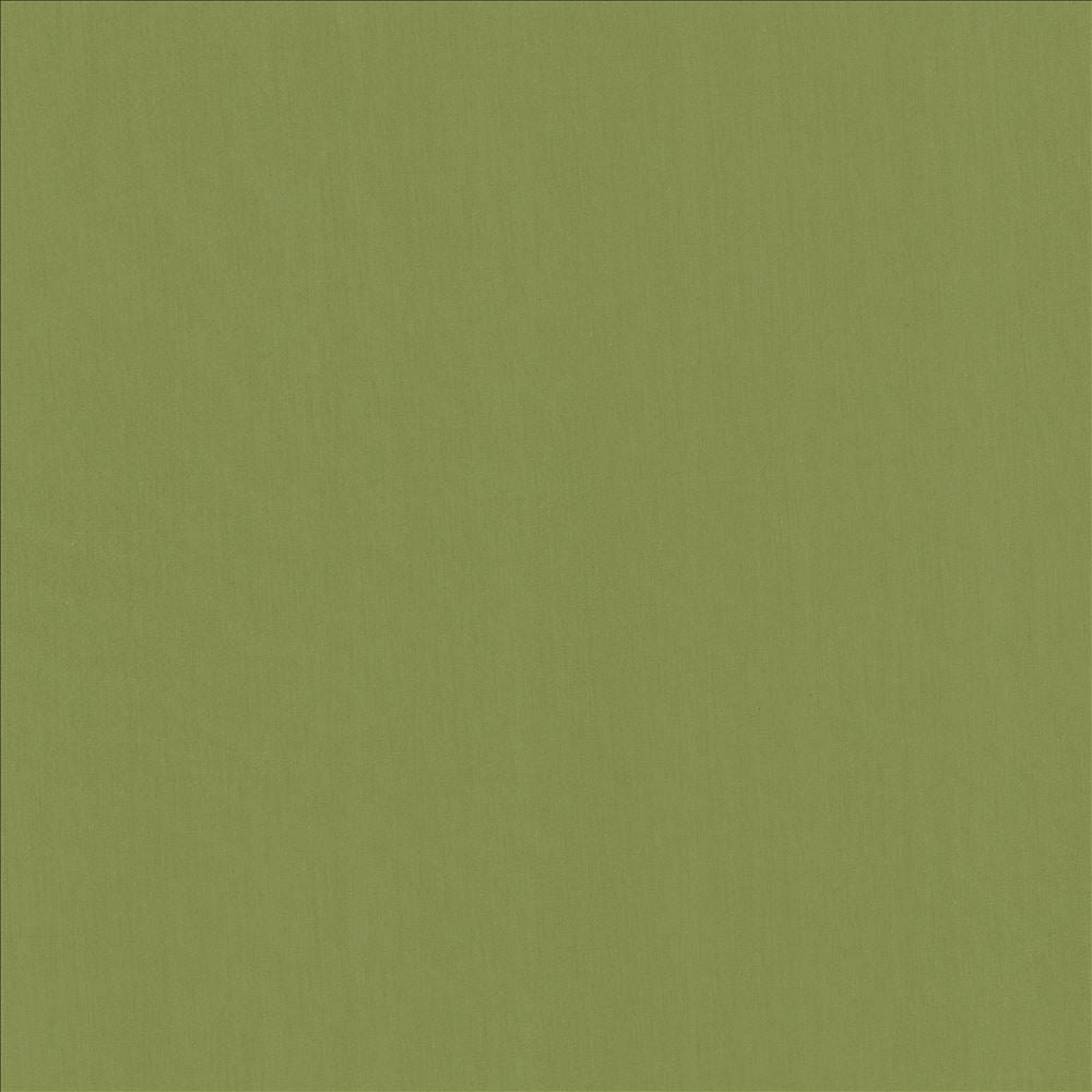 Perception Grass by Kasmir Fabric 5174 100% Cotton
 INDIA </p><p>Repeat: Horizontal: N/A and Vertical: N/A 54 - Fabric Carolina -