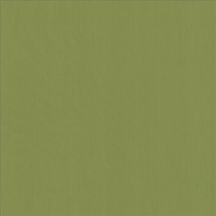 Perception Grass by Kasmir Fabric 5174 100% Cotton
 INDIA </p><p>Repeat: Horizontal: N/A and Vertical: N/A 54 - Fabric Carolina -