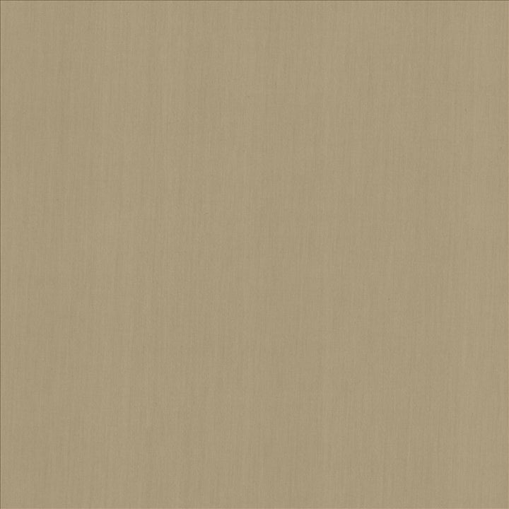 Perception Gray by Kasmir Fabric 5174 100% Cotton
 INDIA 21,000 Wyzenbeek Double Rubs </p><p>Repeat: Horizontal: N/A and Vertical: N/A 54 - Fabric Carolina -