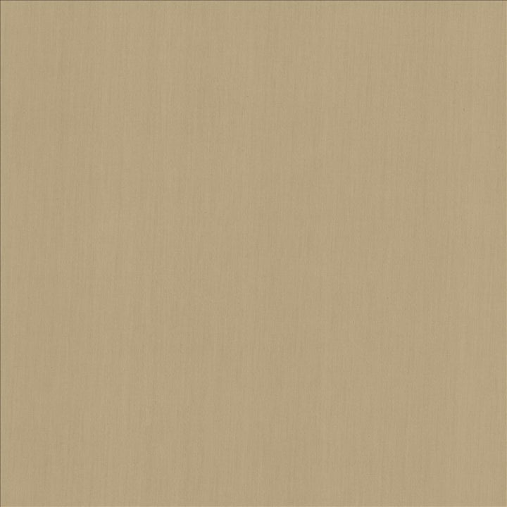 Perception Gray by Kasmir Fabric 5174 100% Cotton
 INDIA </p><p>Repeat: Horizontal: N/A and Vertical: N/A 54 - Fabric Carolina -