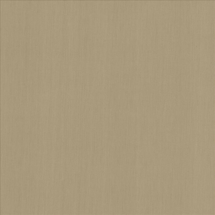 Perception Gray by Kasmir Fabric 5174 100% Cotton
 INDIA 21,000 Wyzenbeek Double Rubs Horizontal: N/A and Vertical: N/A 54 - Fabric Carolina -