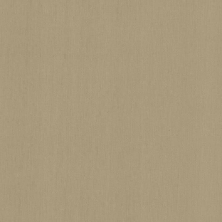 Perception Gray by Kasmir Fabric 5174 100% Cotton
 INDIA </p><p>Repeat: Horizontal: N/A and Vertical: N/A 54 - Fabric Carolina -