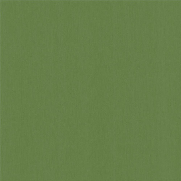 Perception Kelly by Kasmir Fabric 5174 100% Cotton
 INDIA 21,000 Wyzenbeek Double Rubs Horizontal: N/A and Vertical: N/A 54 - Fabric Carolina -