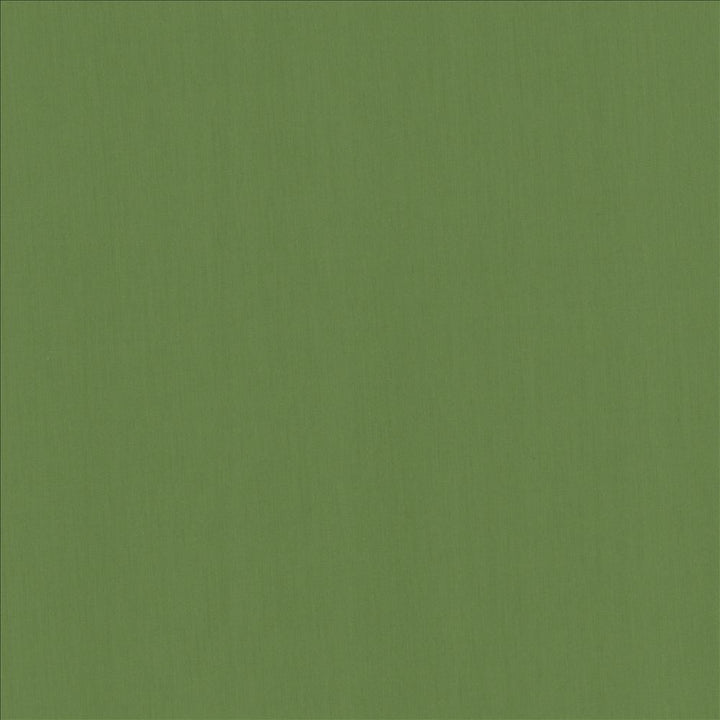 Perception Kelly by Kasmir Fabric 5174 100% Cotton
 INDIA 21,000 Wyzenbeek Double Rubs </p><p>Repeat: Horizontal: N/A and Vertical: N/A 54 - Fabric Carolina -