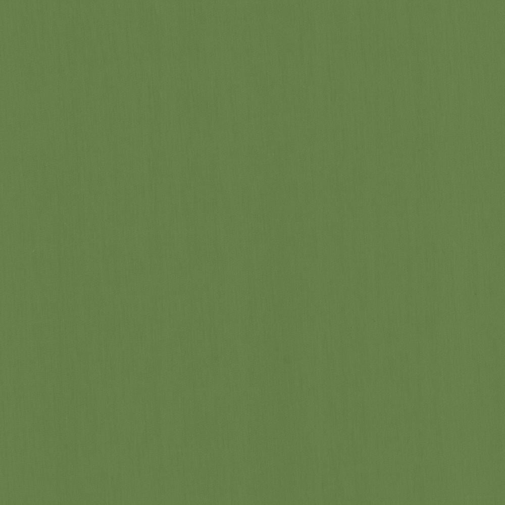 Perception Kelly by Kasmir Fabric 5174 100% Cotton
 INDIA </p><p>Repeat: Horizontal: N/A and Vertical: N/A 54 - Fabric Carolina -