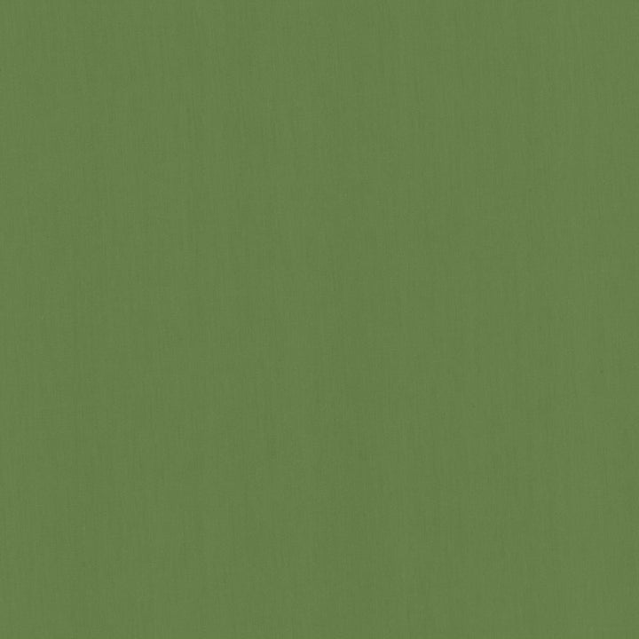 Perception Kelly by Kasmir Fabric 5174 100% Cotton
 INDIA </p><p>Repeat: Horizontal: N/A and Vertical: N/A 54 - Fabric Carolina -
