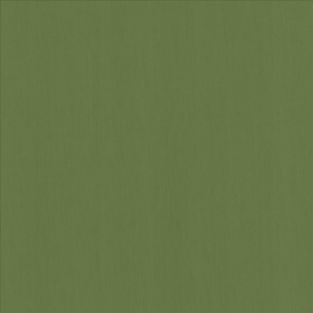 Perception Kelly by Kasmir Fabric 5174 100% Cotton
 INDIA </p><p>Repeat: Horizontal: N/A and Vertical: N/A 54 - Fabric Carolina -