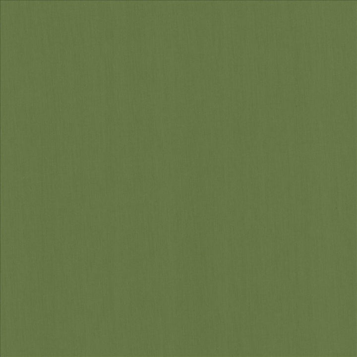 Perception Kelly by Kasmir Fabric 5174 100% Cotton
 INDIA </p><p>Repeat: Horizontal: N/A and Vertical: N/A 54 - Fabric Carolina -