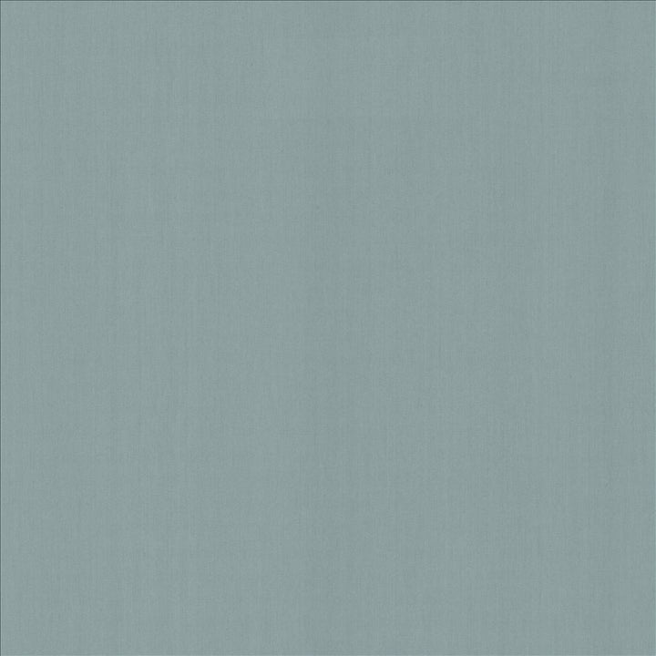 Perception Lake by Kasmir Fabric 5174 100% Cotton
 INDIA 21,000 Wyzenbeek Double Rubs </p><p>Repeat: Horizontal: N/A and Vertical: N/A 54 - Fabric Carolina -