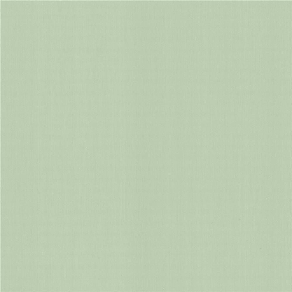 Perception Mint by Kasmir Fabric 5174 100% Cotton
 INDIA 21,000 Wyzenbeek Double Rubs </p><p>Repeat: Horizontal: N/A and Vertical: N/A 54 - Fabric Carolina -