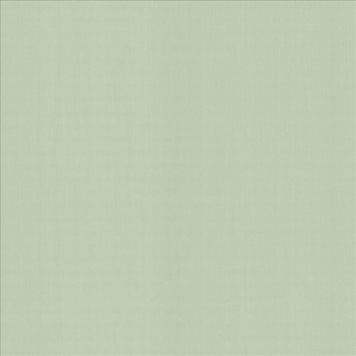 Perception Mint by Kasmir Fabric 5174 100% Cotton
 INDIA 21,000 Wyzenbeek Double Rubs </p><p>Repeat: Horizontal: N/A and Vertical: N/A 54 - Fabric Carolina -