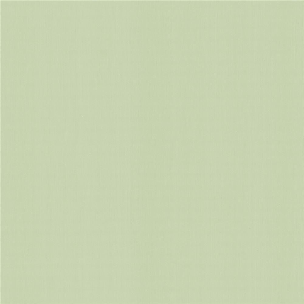 Perception Mint by Kasmir Fabric 5174 100% Cotton
 INDIA </p><p>Repeat: Horizontal: N/A and Vertical: N/A 54 - Fabric Carolina -