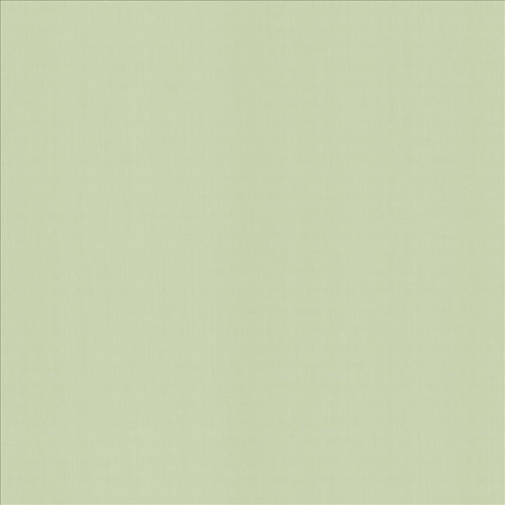 Perception Mint by Kasmir Fabric 5174 100% Cotton
 INDIA </p><p>Repeat: Horizontal: N/A and Vertical: N/A 54 - Fabric Carolina -